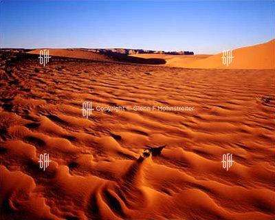 Desert Singularity, near Page, AZ