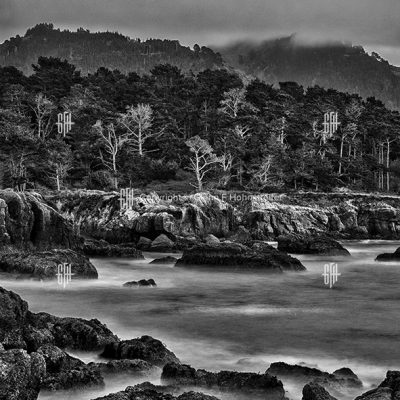 Point Lobos Eventide